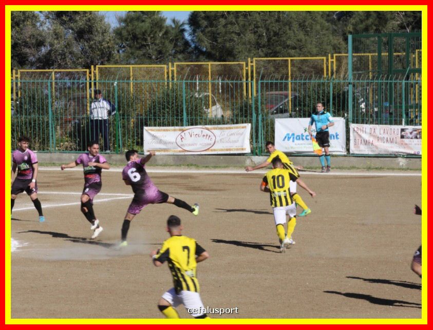 190310 Cephal_Torrenov 073_tn.jpg